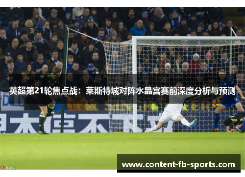 英超第21轮焦点战：莱斯特城对阵水晶宫赛前深度分析与预测