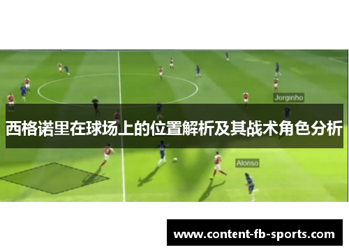 西格诺里在球场上的位置解析及其战术角色分析