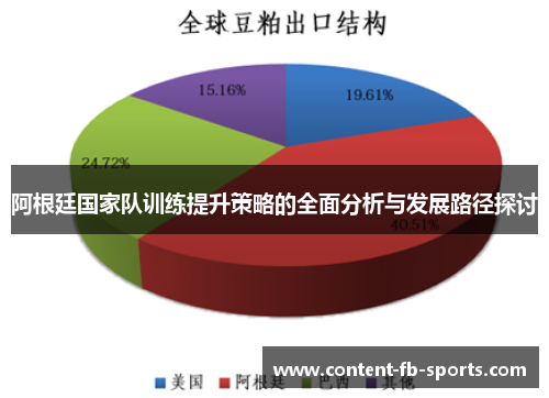 阿根廷国家队训练提升策略的全面分析与发展路径探讨