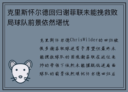 克里斯怀尔德回归谢菲联未能挽救败局球队前景依然堪忧
